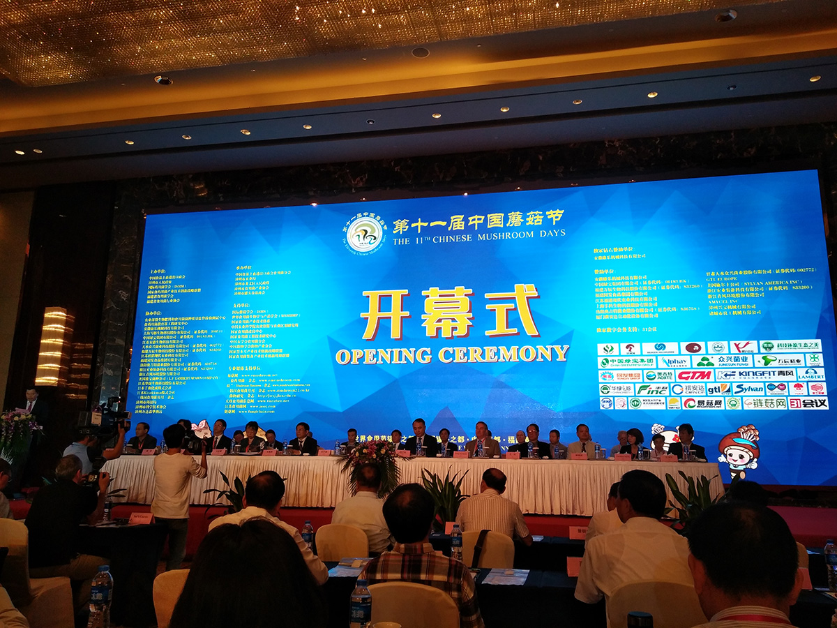 凯发一触即发